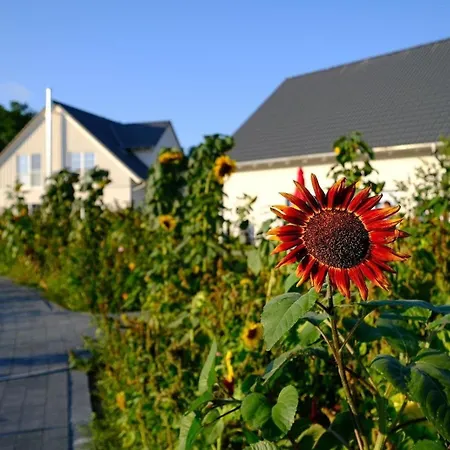 Barrierefreies In Mit Sauna, Kamin Und Wasserblick Altwarp